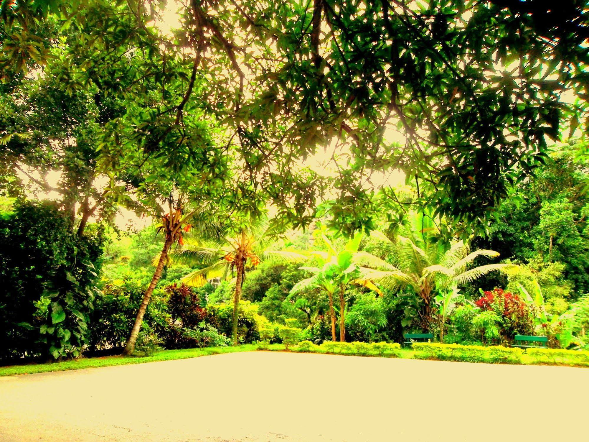 Oyo 433 Paradise Resort Kandy Exteriör bild